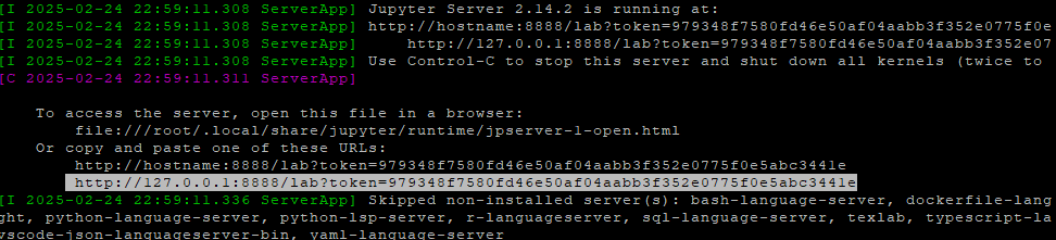 Jupyter Server URL